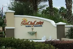 1611 Dower Way, Sun City Center, FL 33573 - Photo 68