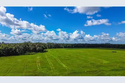 00 Miller Road, Dade City, FL 33525 - Photo 4