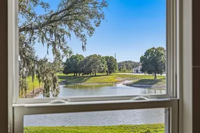 11126 Manor House Lane, Odessa, FL 33556 - Photo 38