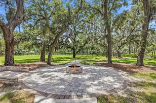 11126 Manor House Ln, Odessa, FL 33556 - Photo 52