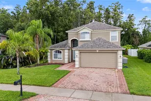 212 Arbor Woods Cir, Oldsmar, FL 34677 - Photo 48