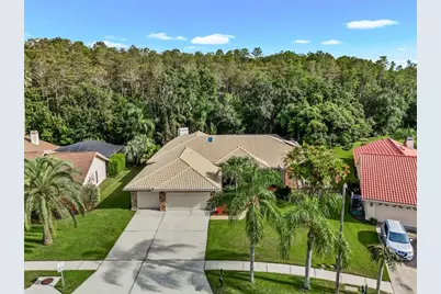 3612 Windber Boulevard, Palm Harbor, FL 34685 - Photo 14