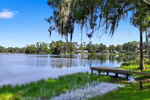 703 Crystal Lake Rd, Lutz, FL 33548 - Photo 4