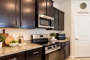 31686 Tansy Bnd, Wesley Chapel, FL 33545 - Photo 14