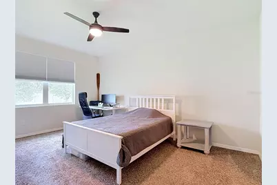 31686 Tansy Bend, Wesley Chapel, FL 33545 - Photo 30