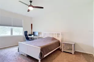 31686 Tansy Bnd, Wesley Chapel, FL 33545 - Photo 30