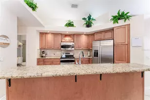 835 Symphony Isles Blvd, Apollo Beach, FL 33572 - Photo 20