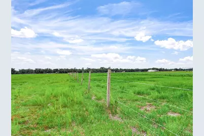 Lake Buffum Road N, Fort Meade, FL 33841 - Photo 14