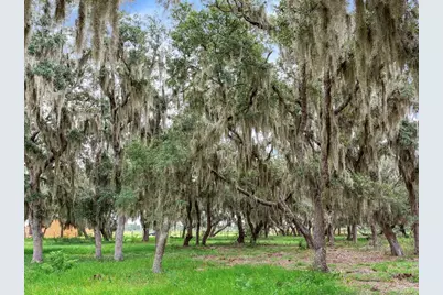 Lake Buffum Road N, Fort Meade, FL 33841 - Photo 8
