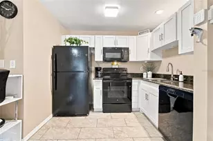 4115 Chatham Oak Ct, Tampa, FL 33624 - Photo 10