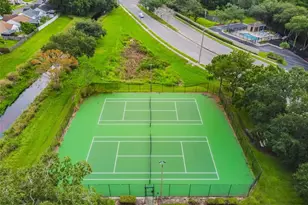 4115 Chatham Oak Ct, Tampa, FL 33624 - Photo 46