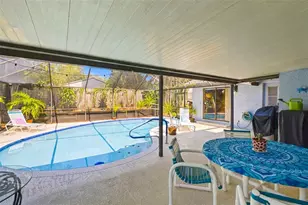 2621 Orchard Highlands Dr, Palm Harbor, FL 34684 - Photo 28