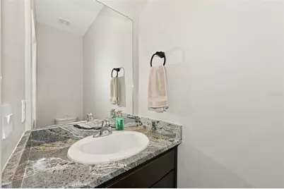 16633 Mooner Plank Circle, Wimauma, FL 33598 - Photo 34