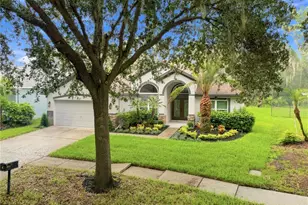 6137 Whimbrelwood Dr, Lithia, FL 33547 - Photo 38