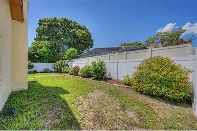 2951 Orchard Drive, Palm Harbor, FL 34684 - Photo 50
