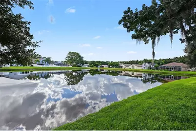 3907 Lockridge Drive, Land O Lakes, FL 34638 - Photo 40