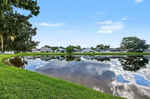 3907 Lockridge Dr, Land O Lakes, FL 34638 - Photo 36