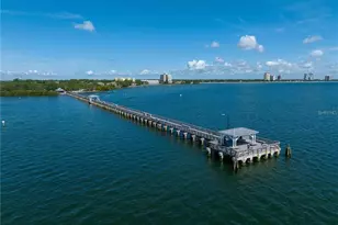 3005 W Helen Ave, Tampa, FL 33611 - Photo 36