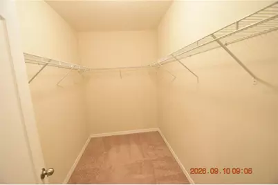 13217 Canopy Creek Drive, Tampa, FL 33625 - Photo 42