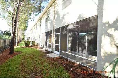 13217 Canopy Creek Drive, Tampa, FL 33625 - Photo 6