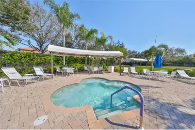 216 Silver Falls Drive, Apollo Beach, FL 33572 - Photo 68