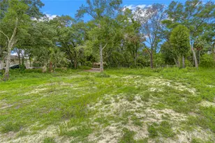 6806 New York Dr, Tampa, FL 33619 - Photo 1