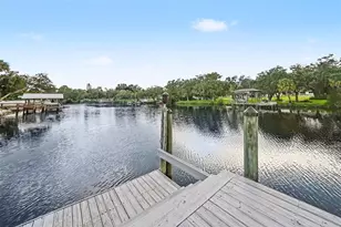 1021 W Henry Ave, Tampa, FL 33604 - Photo 48