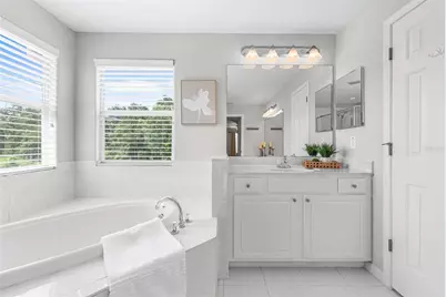 27015 Firebush Drive, Wesley Chapel, FL 33544 - Photo 26