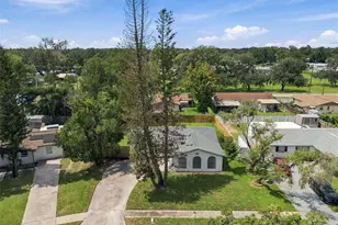 802 Walnut Dr, Seffner, FL 33584 - Photo 44