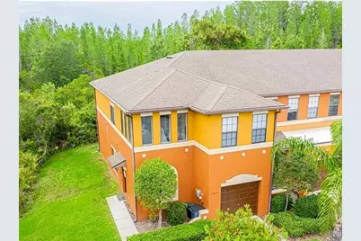 30039 Mossbank Drive, Wesley Chapel, FL 33543 - Photo 2