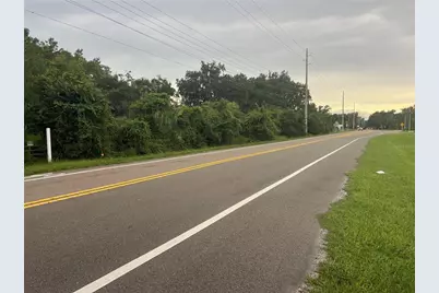 1 Thonotosassa, Thonotosassa, FL 33592 - Photo 4