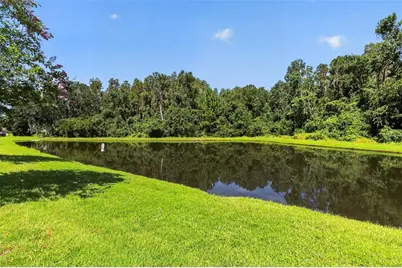 1677 Ludington Avenue, Wesley Chapel, FL 33543 - Photo 4