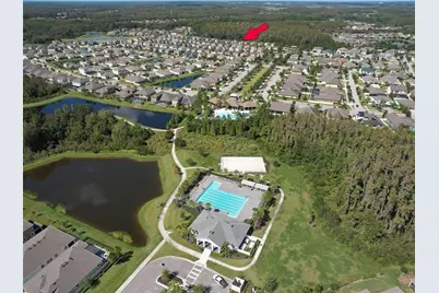 1677 Ludington Avenue, Wesley Chapel, FL 33543 - Photo 26