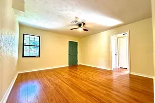 916 W Orient St, Tampa, FL 33603 - Photo 4