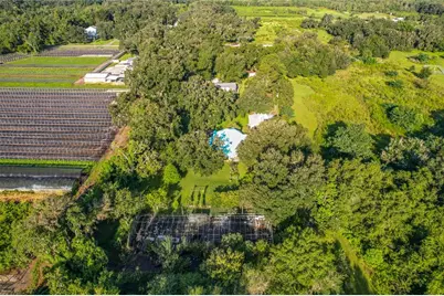 2320 Bogaert Road, Dover, FL 33527 - Photo 62