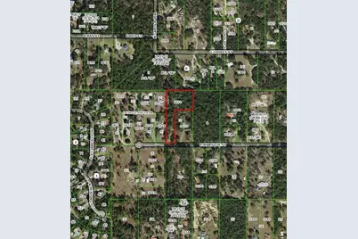2047 E Mary Lue Street, Inverness, FL 34453 - Photo 2