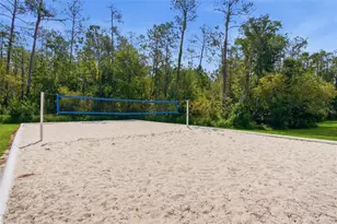 2306 Spring Hollow Loop, Wesley Chapel, FL 33544 - Photo 36