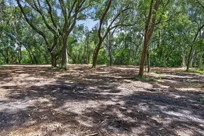 00 W Knights Griffin Road, Plant City, FL 33565 - Photo 8