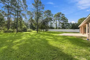 12784 Sigmund St, Spring Hill, FL 34609 - Photo 48
