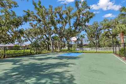 3820 Shimmering Oaks Drive, Parrish, FL 34219 - Photo 60
