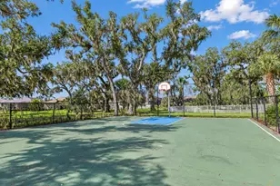 3820 Shimmering Oaks Dr, Parrish, FL 34219 - Photo 60