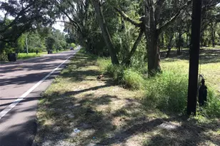 7805 Turkey Creek Rd, Plant City, FL 33567 - Photo 1