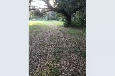 7805 Turkey Creek Road, Plant City, FL 33567 - Photo 2