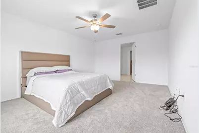 5182 Fiddle Fig Avenue, Wimauma, FL 33598 - Photo 6