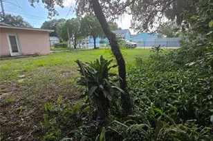 350 N Levis Ave, Tarpon Springs, FL 34689 - Photo 46