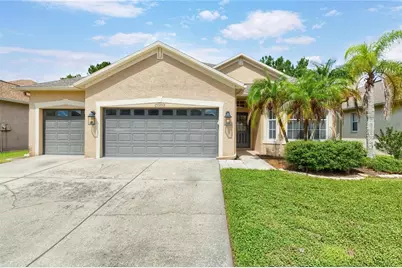 31203 Anniston Drive, Wesley Chapel, FL 33543 - Photo 1
