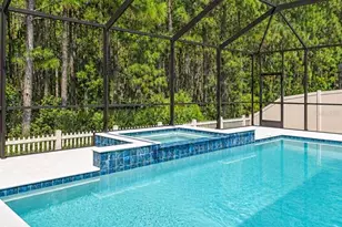 18342 Serene Lake Loop, Lutz, FL 33548 - Photo 66