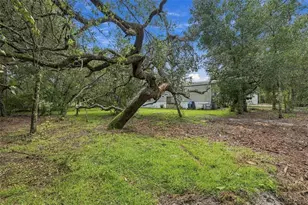 15247 Loma Ave, Spring Hill, FL 34610 - Photo 44