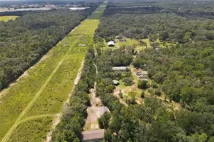 15247 Loma Ave, Spring Hill, FL 34610 - Photo 54