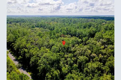 1135 E Odin Drive, Citrus Springs, FL 34434 - Photo 12